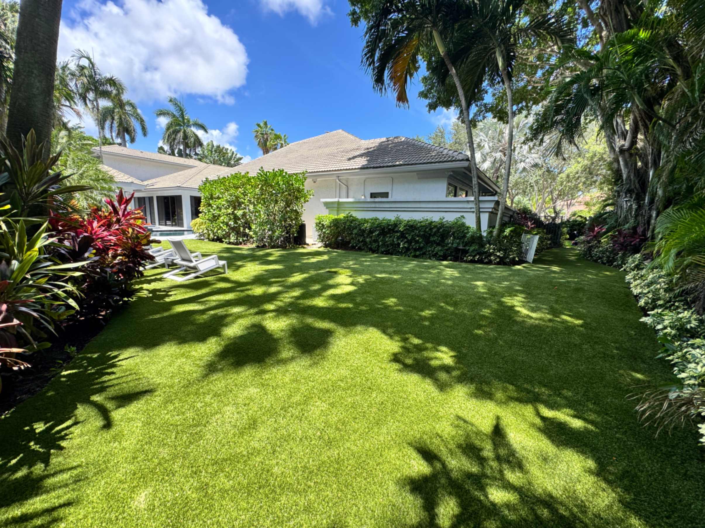 artificial-turf-cleaning-company-wellington