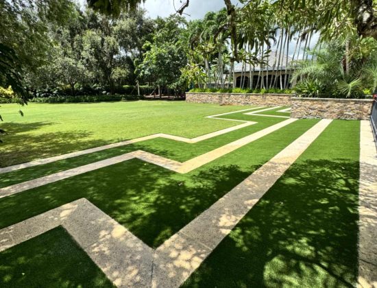 artificial-turf-cleaning-company-wellington