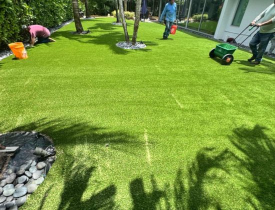 artificial-turf-cleaning-services-wellington