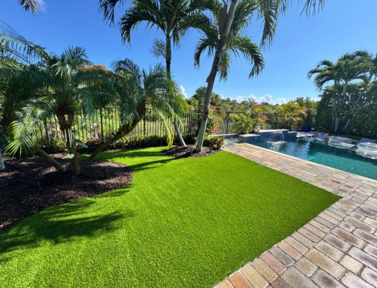 synthetic-grass-cleaning-wellington