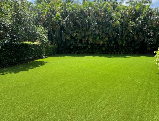 synthetic-grass-cleaning-wellington