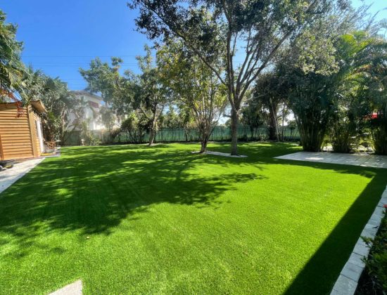 wellington-artificial-grass-cleaner-specialists