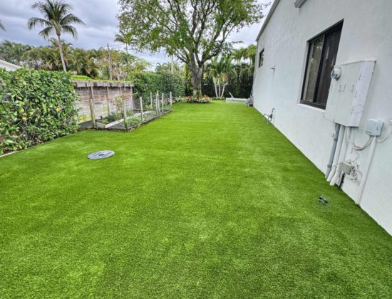 wellington-artificial-grass-cleaning