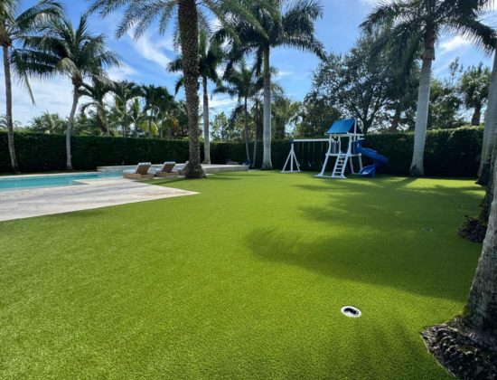 wellington-artificial-turf-cleaning-company