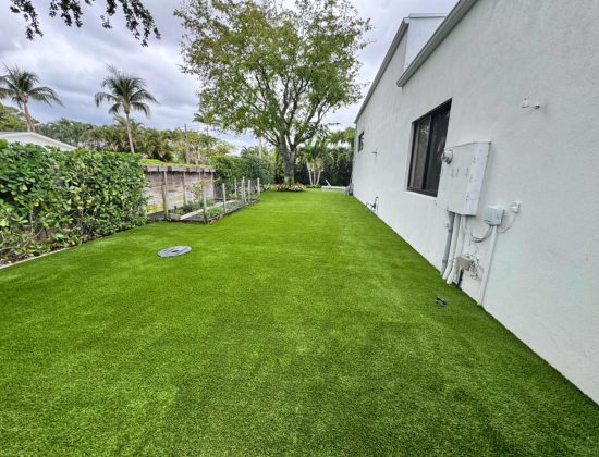 wellington-artificial-turf-cleaning-company