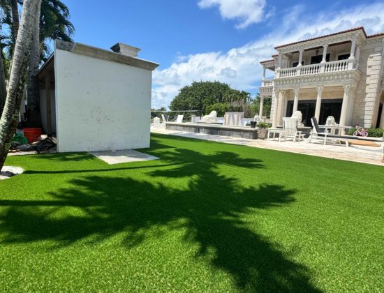 wellington-cleaning-services-for-synthetic-lawns