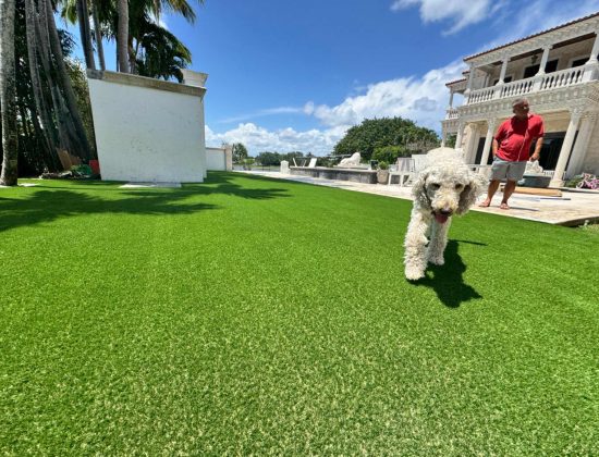 wellington-local-artificial-turf-cleaners