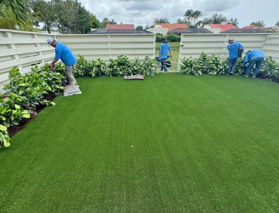 wellington-local-artificial-turf-cleaners
