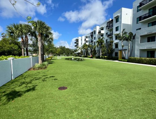 wellington-turf-cleaning-company-near-me