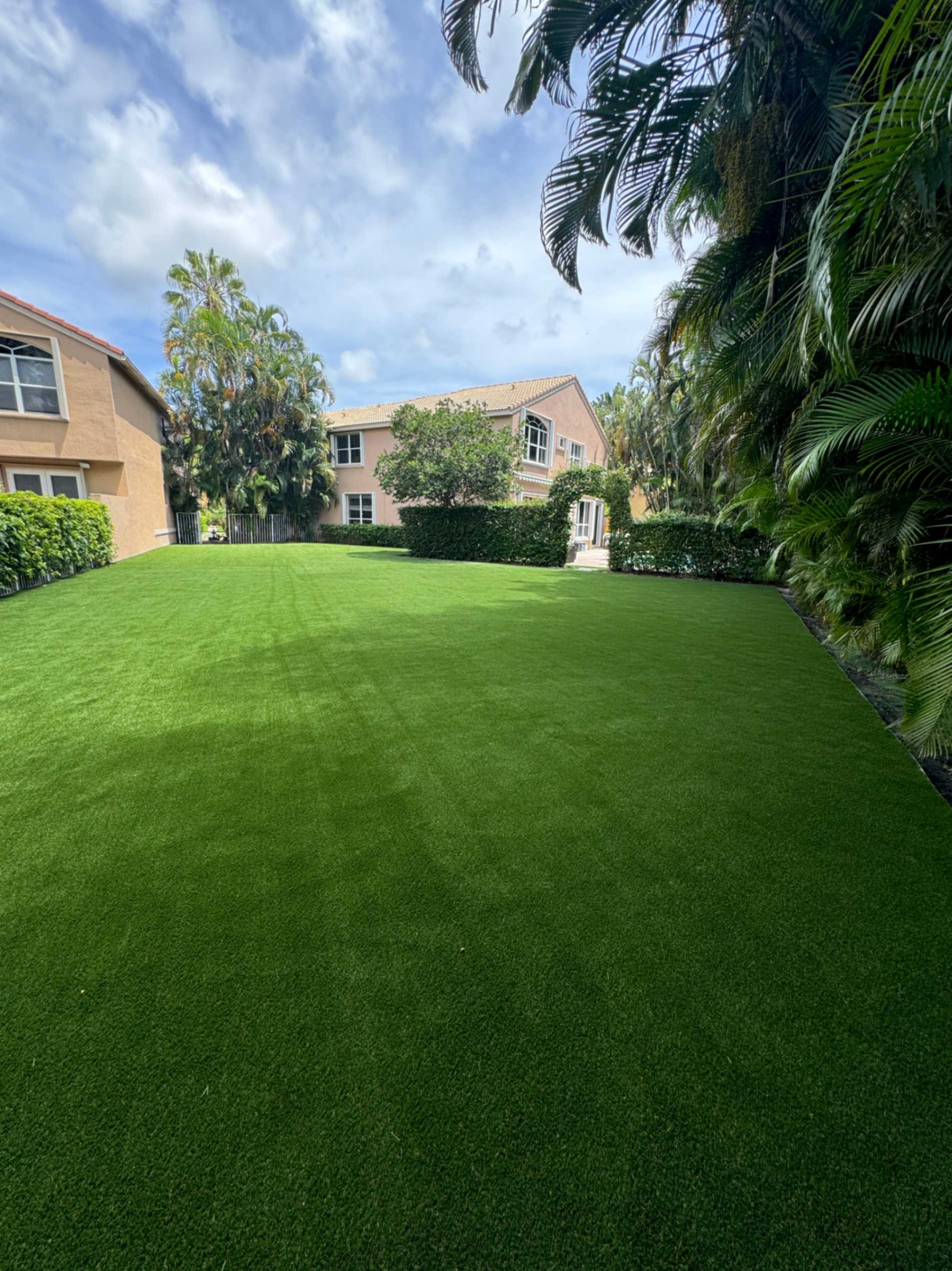 professional-turf-cleaning-in-wellington