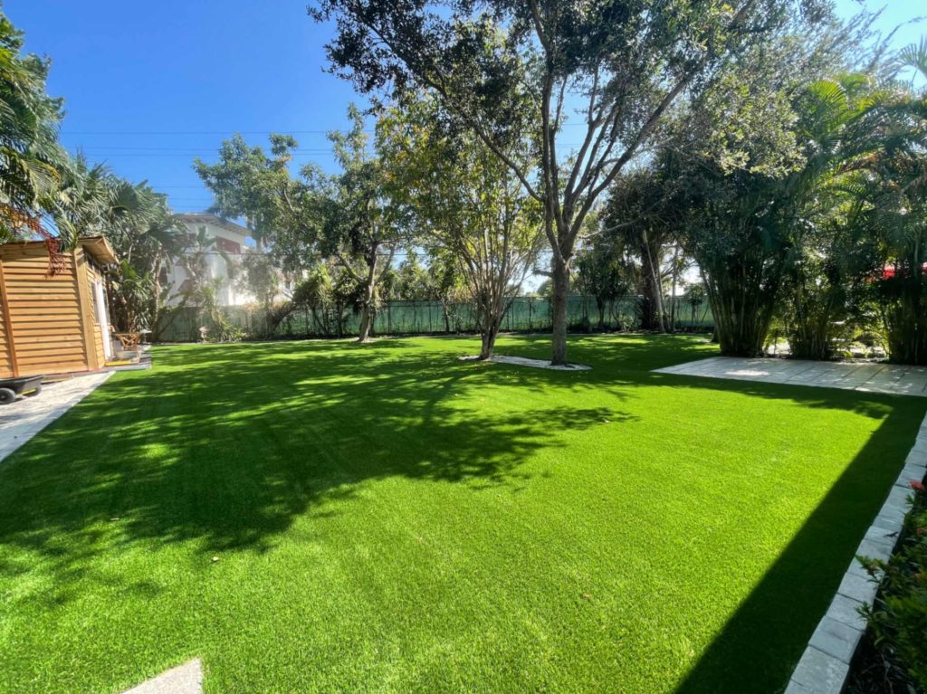 professional-turf-cleaning-in-wellington