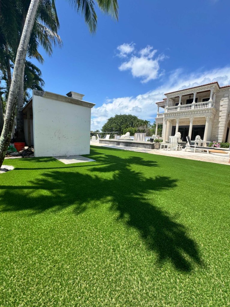 wellington-turf-cleaning-service